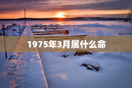 1975年3月属什么命