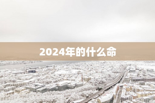 2025年的什么命