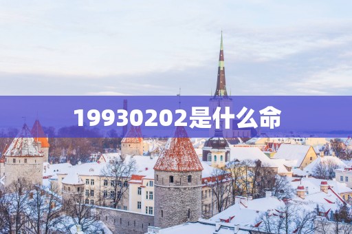 19930202是什么命