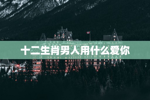 十二生肖男人用什么爱你