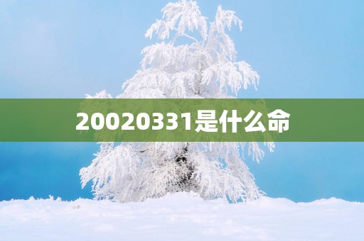 20020331是什么命