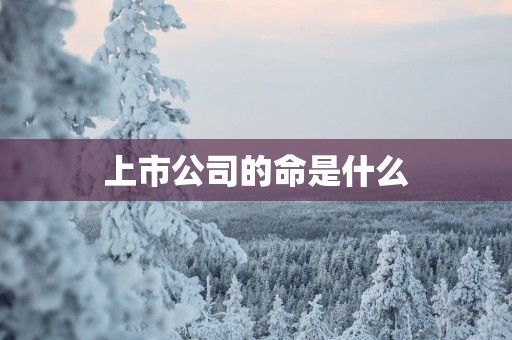 上市公司的命是什么