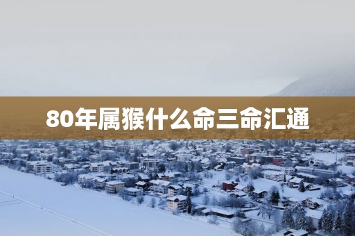 80年属猴什么命三命汇通