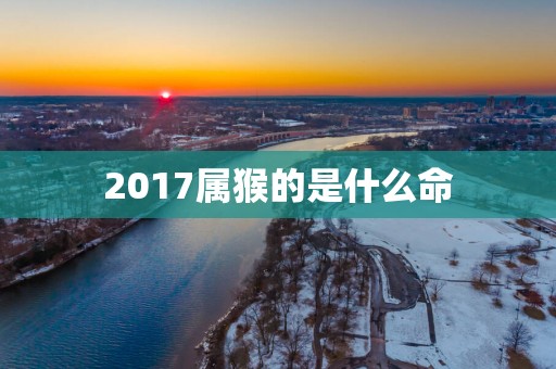 2017属猴的是什么命