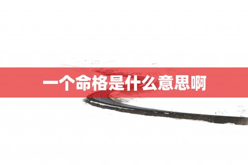 一个命格是什么意思啊