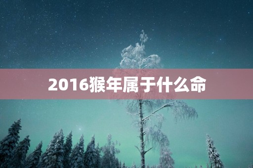 2016猴年属于什么命