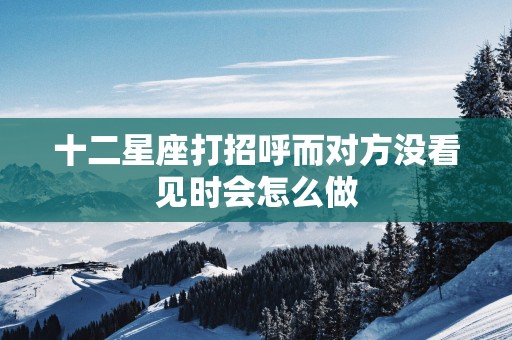 十二星座打招呼而对方没看见时会怎么做