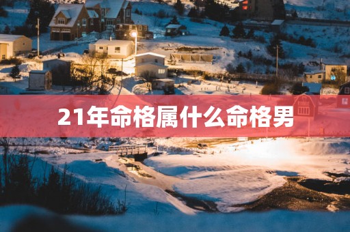 21年命格属什么命格男