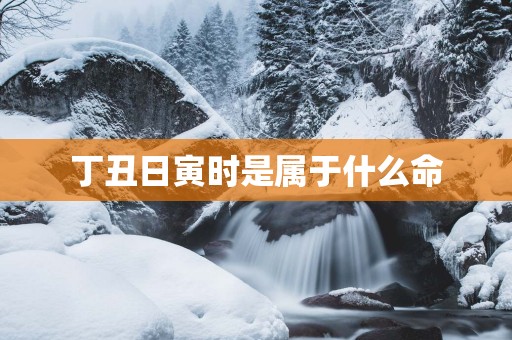 丁丑日寅时是属于什么命