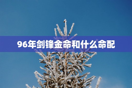 96年剑锋金命和什么命配