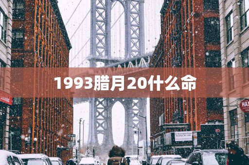 1993腊月20什么命