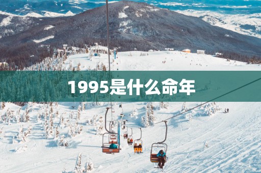 1995是什么命年