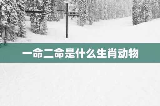 一命二命是什么生肖动物