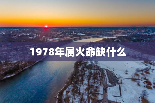 1978年属火命缺什么