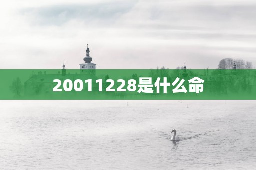 20011228是什么命