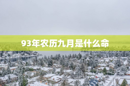 93年农历九月是什么命