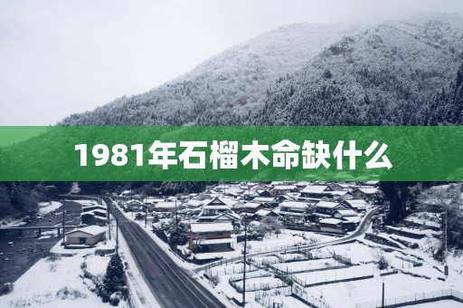 1981年石榴木命缺什么