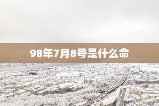 98年7月8号是什么命