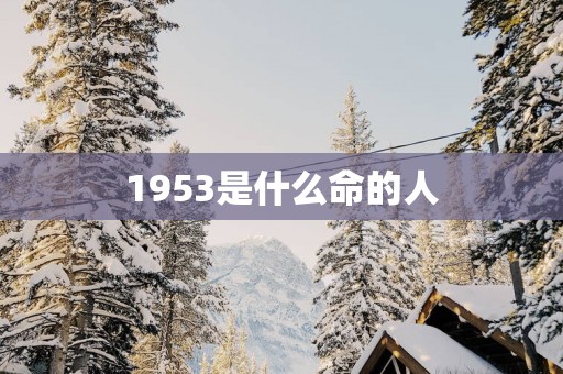 1953是什么命的人
