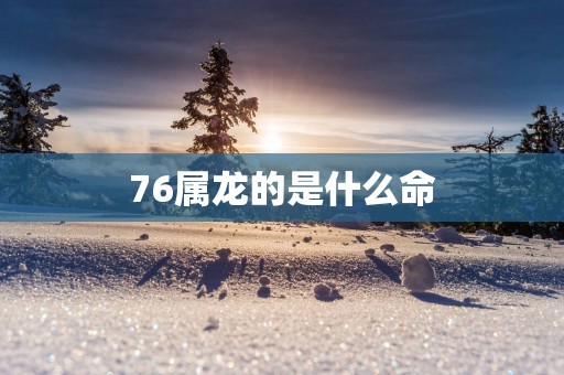 76属龙的是什么命