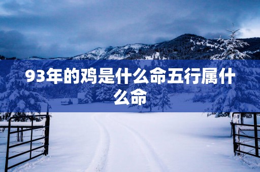 93年的鸡是什么命五行属什么命