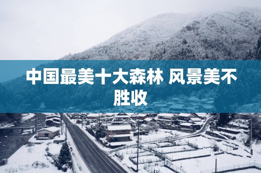 中国最美十大森林 风景美不胜收