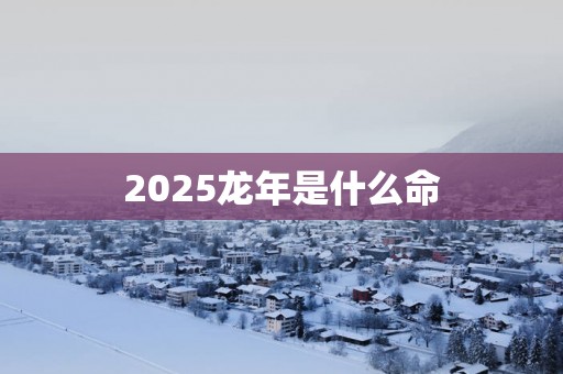 2025蛇年是什么命