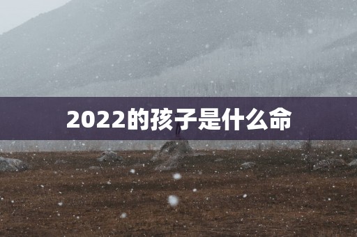 2025的孩子是什么命