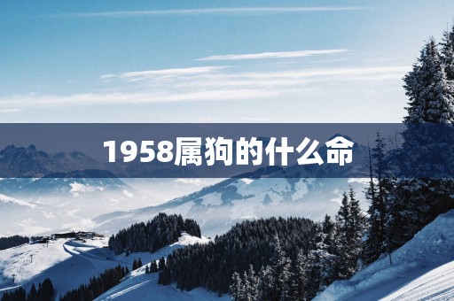 1958属狗的什么命