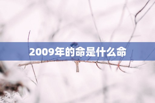 2009年的命是什么命