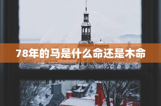 78年的马是什么命还是木命