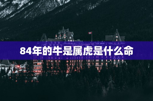 84年的牛是属虎是什么命
