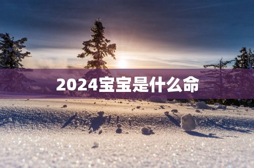 2025宝宝是什么命