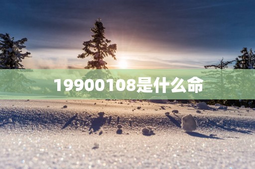 19900108是什么命