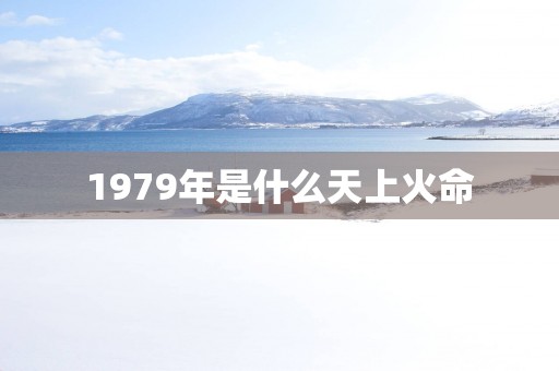 1979年是什么天上火命