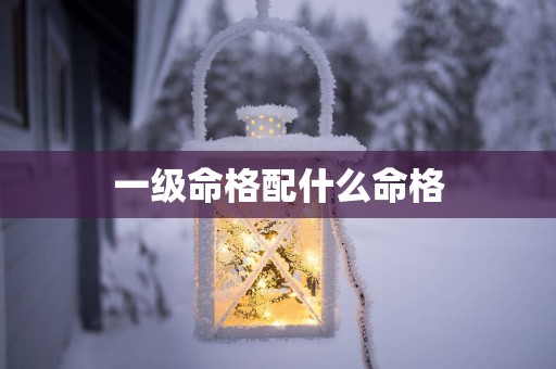 一级命格配什么命格