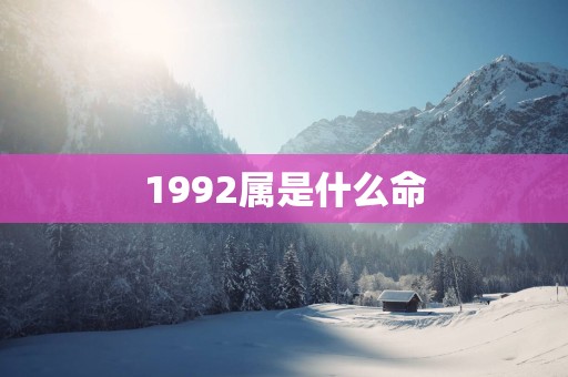 1992属是什么命