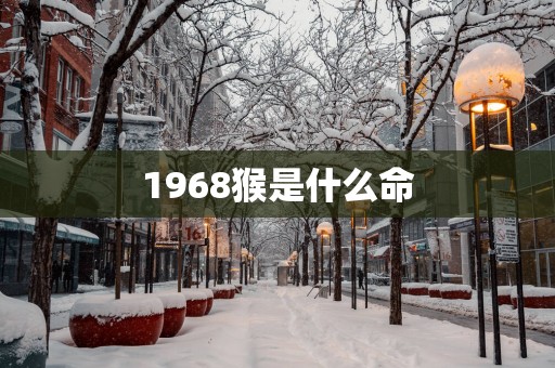 1968猴是什么命