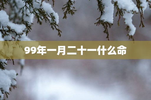 99年一月二十一什么命