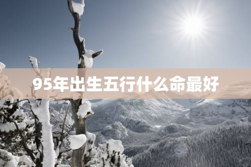 95年出生五行什么命最好
