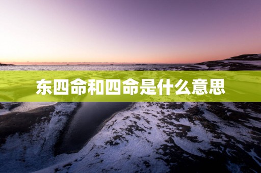东四命和四命是什么意思