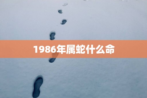 1986年属蛇什么命
