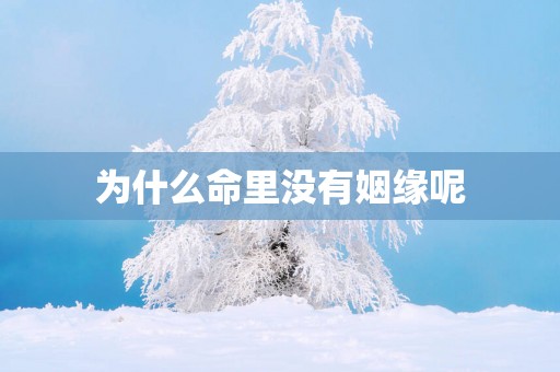 为什么命里没有姻缘呢
