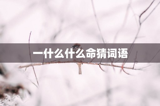 一什么什么命猜词语