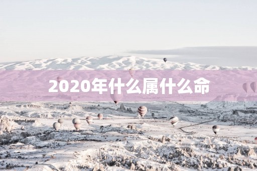 2025年什么属什么命