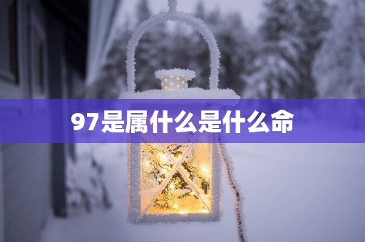 97是属什么是什么命