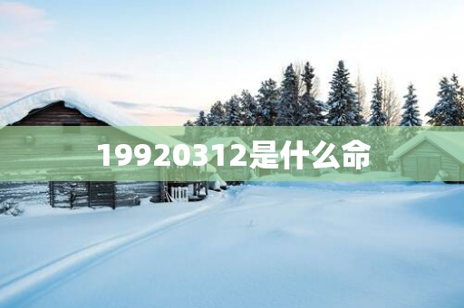 19920312是什么命