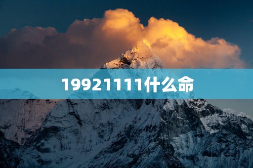 19921111什么命