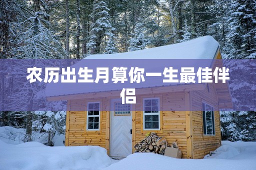 农历出生月算你一生最佳伴侣