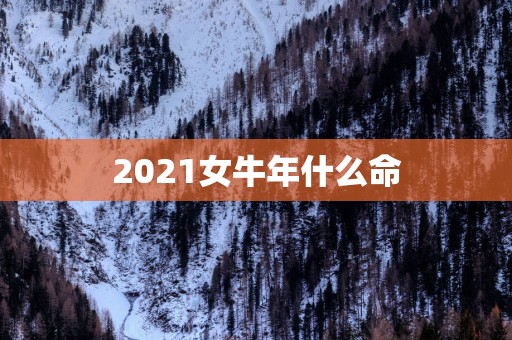 2025女蛇年什么命